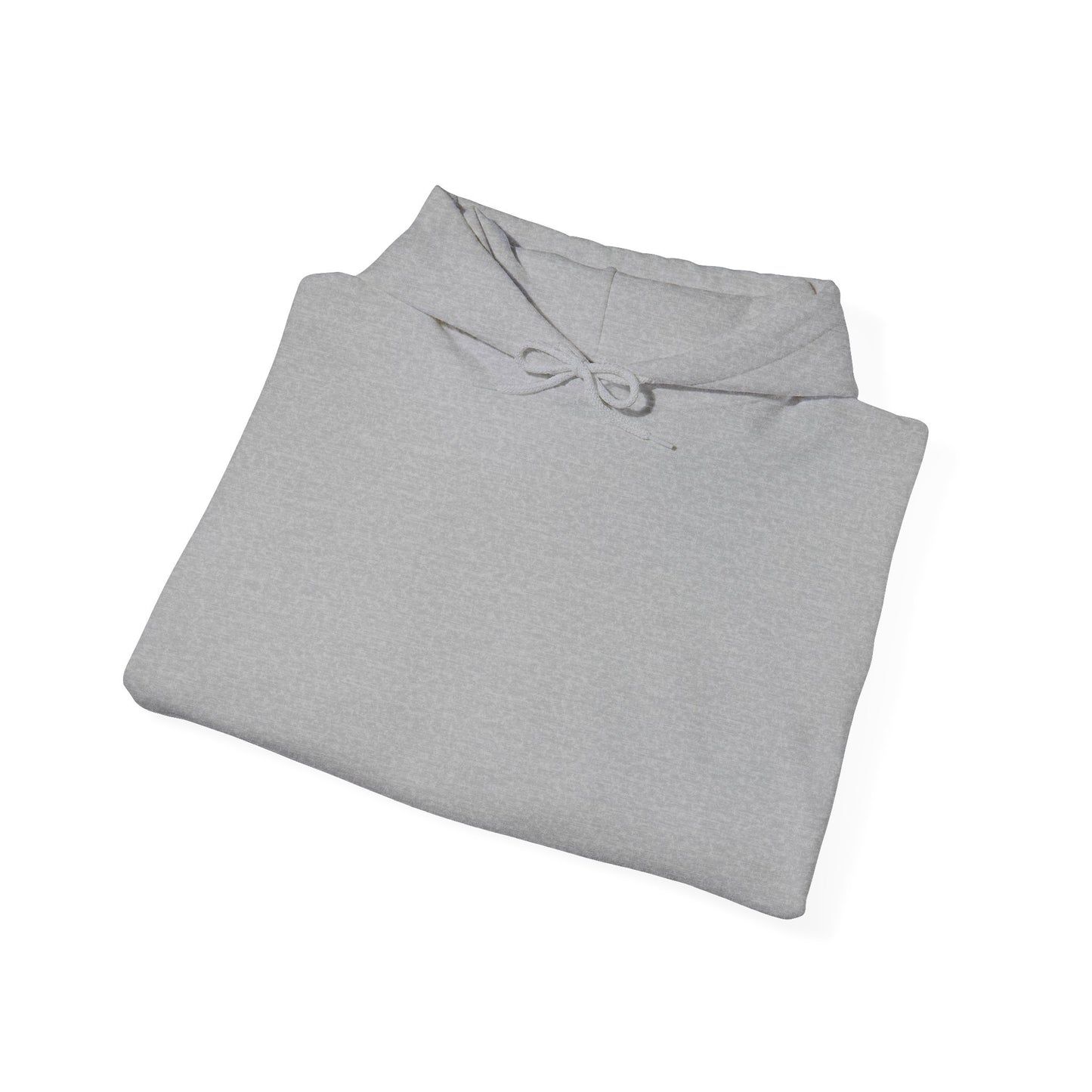 HippoHoodie-Plane Simple Hoodie